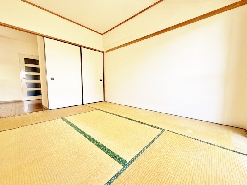 その他11