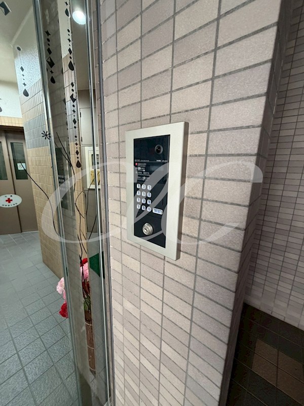 チェレステアルベロ その他6
