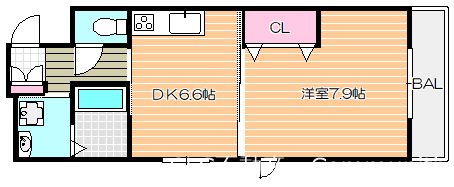 スターライトパレスⅢ  間取り図
