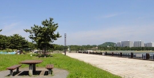 サンフローリッシュ　Ⅱ その他外観5