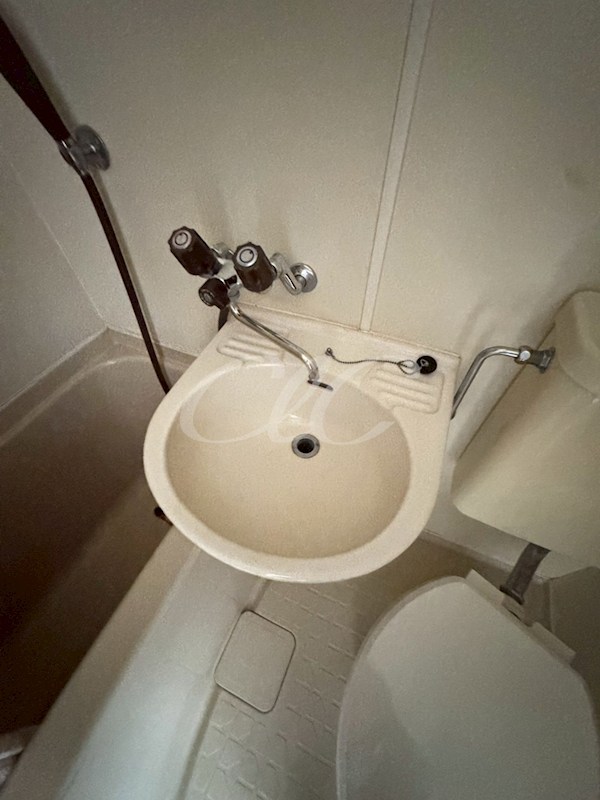 その他1