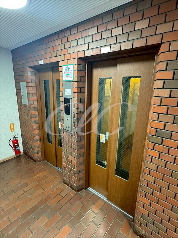 その他11