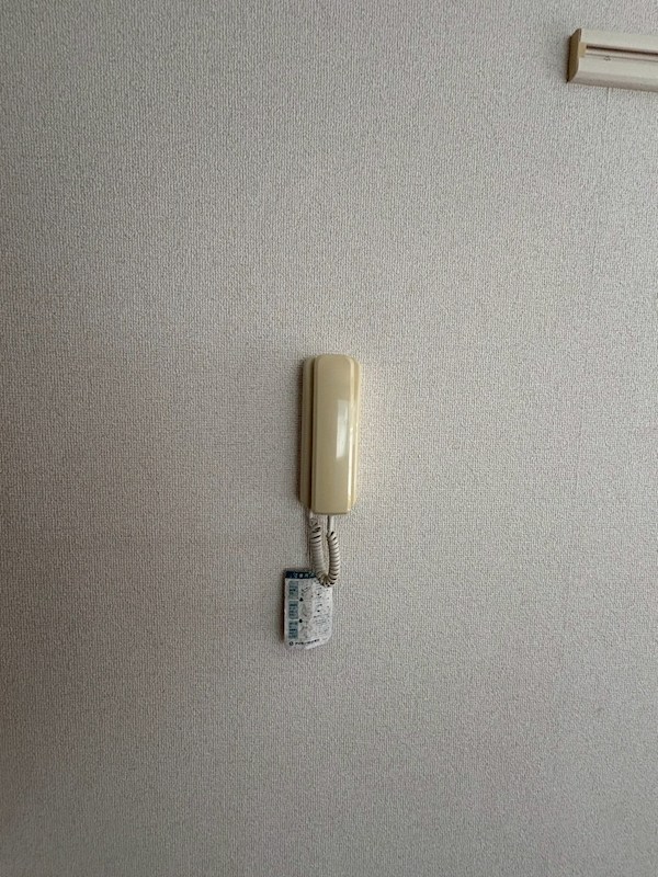クイーンシップヒロ その他6