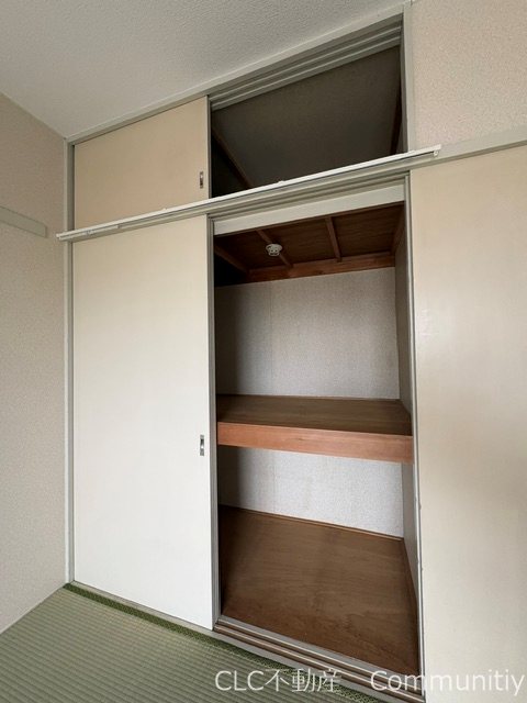 パールグリーン その他11