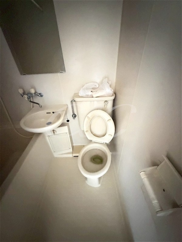 その他1