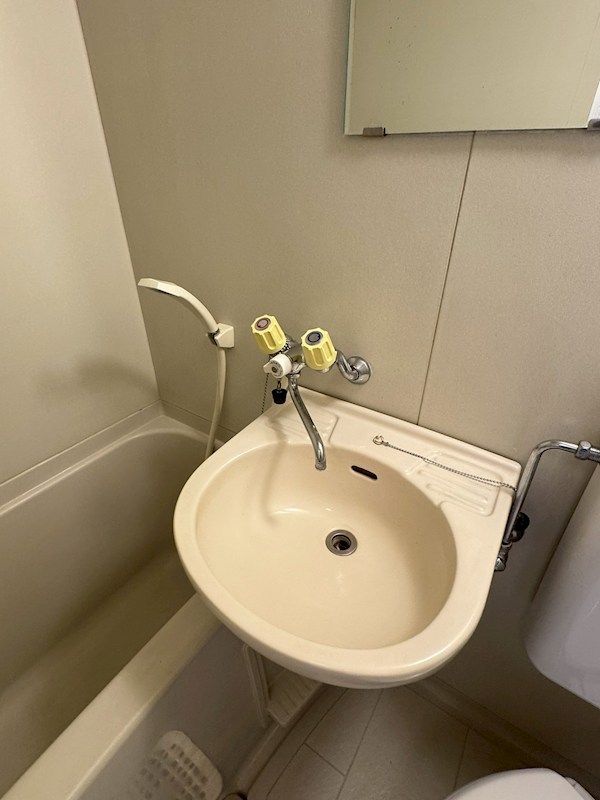 その他1