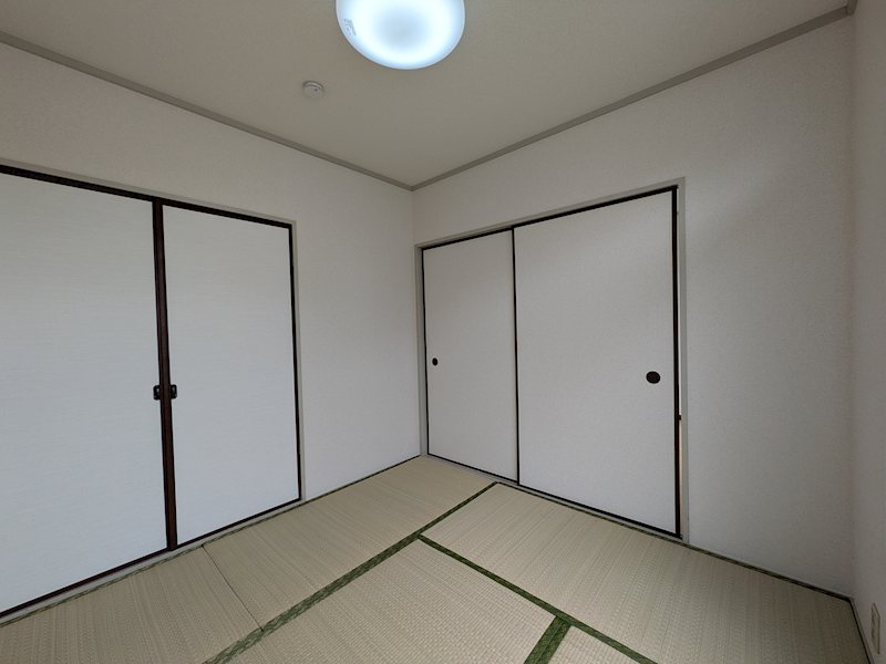 その他11