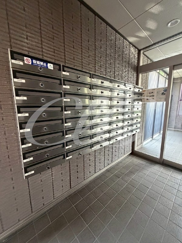 その他5