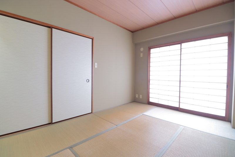 カーソルサヴァリンナ その他6