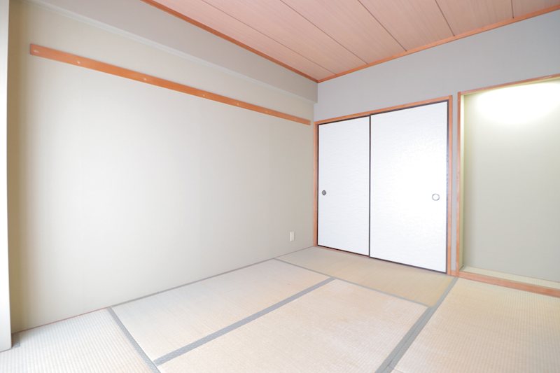 カーソルサヴァリンナ その他8