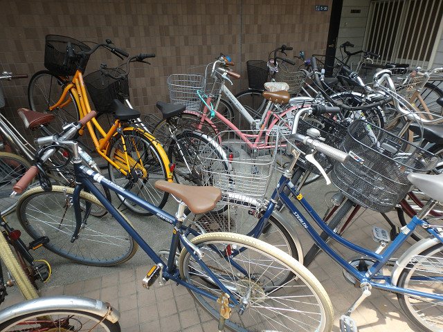 アルカサル堀江 その他6