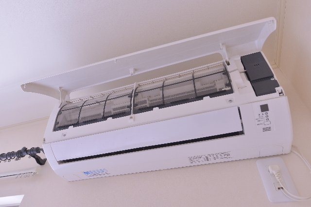 その他11