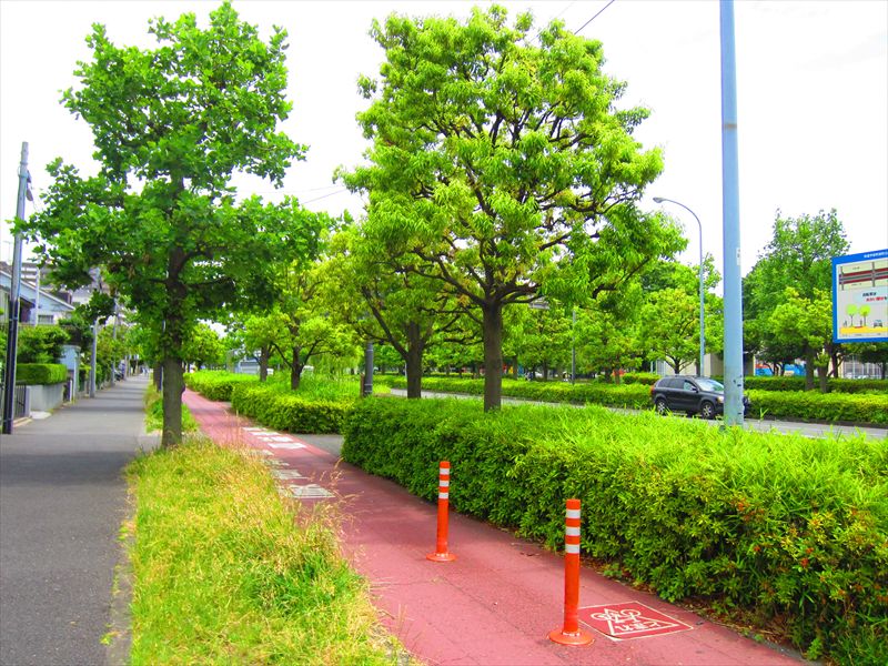 神奈川県川崎市川崎区京町２丁目 公園
