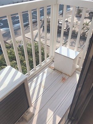 オルキス ベランダ