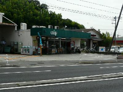 神奈川県横浜市金沢区釜利谷東４丁目 スーパー