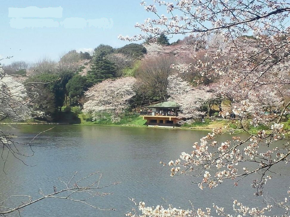 神奈川県横浜市鶴見区梶山１丁目 公園