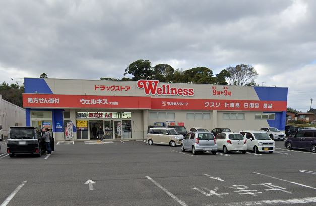 グリーンハイツ淞南 ドラッグストア