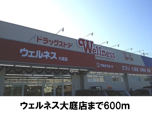 アンフォレット　Ａ その他