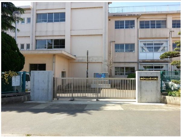 光生ビル 小学校
