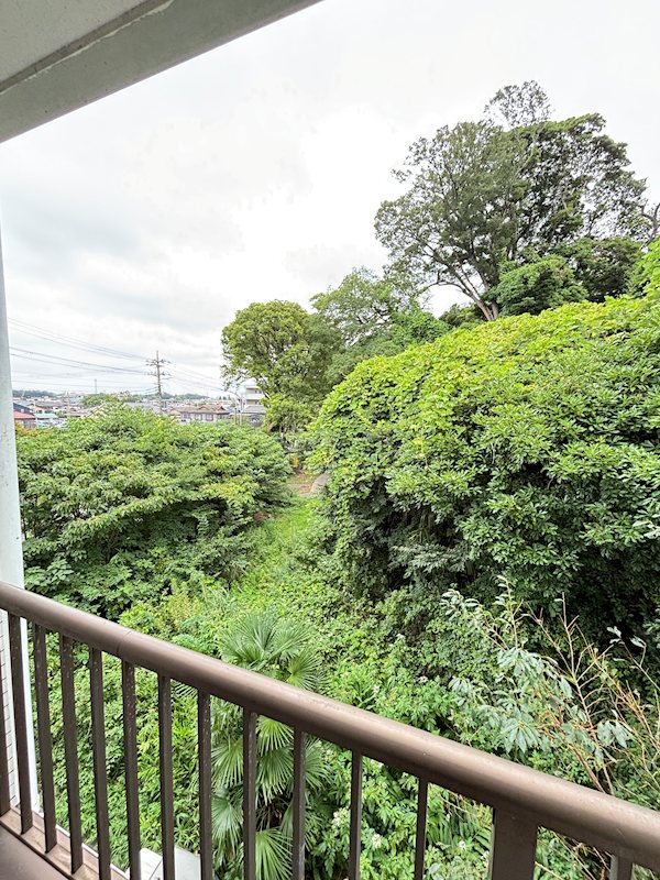 ホワイトレジデンス 眺望