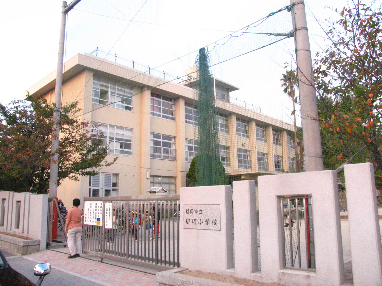 T&Y24 小学校