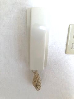コスモフラット その他5