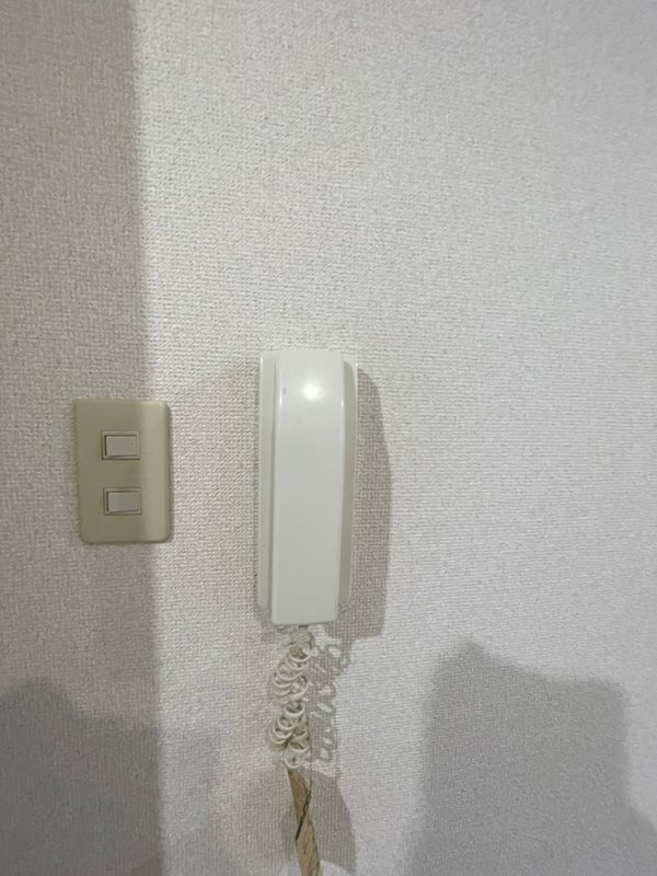 コスモフラット   その他2