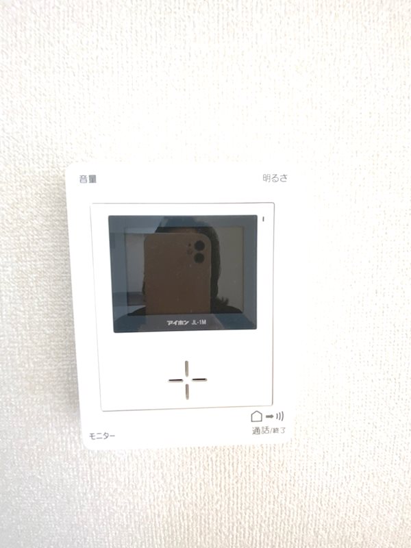 almoⅨ  その他7
