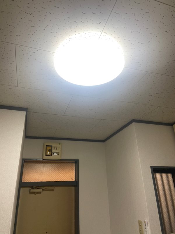 フローラⅡ その他6