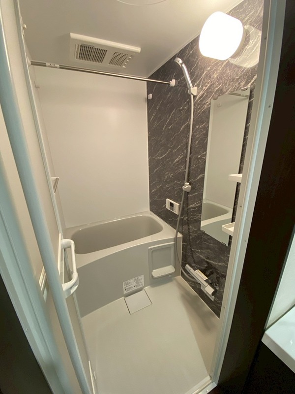 ラピスラズリ南鳩ヶ谷 風呂画像