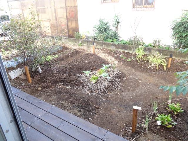 ワカミヤハイツ その他11