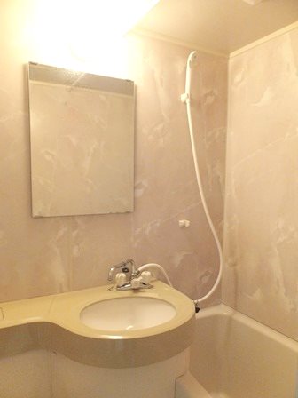 ＶＩＰマンション西新井  その他1