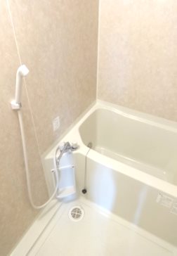 ウッド・ヴィレッジ遊馬  風呂画像