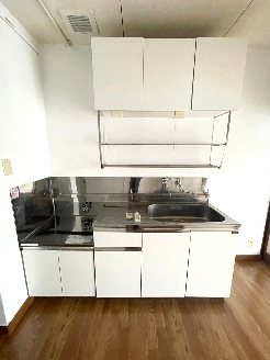 鴨下マンション   キッチン