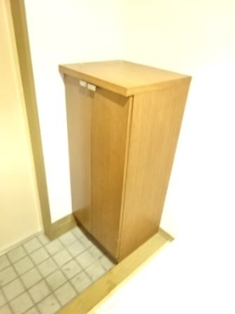 ドミールU  玄関