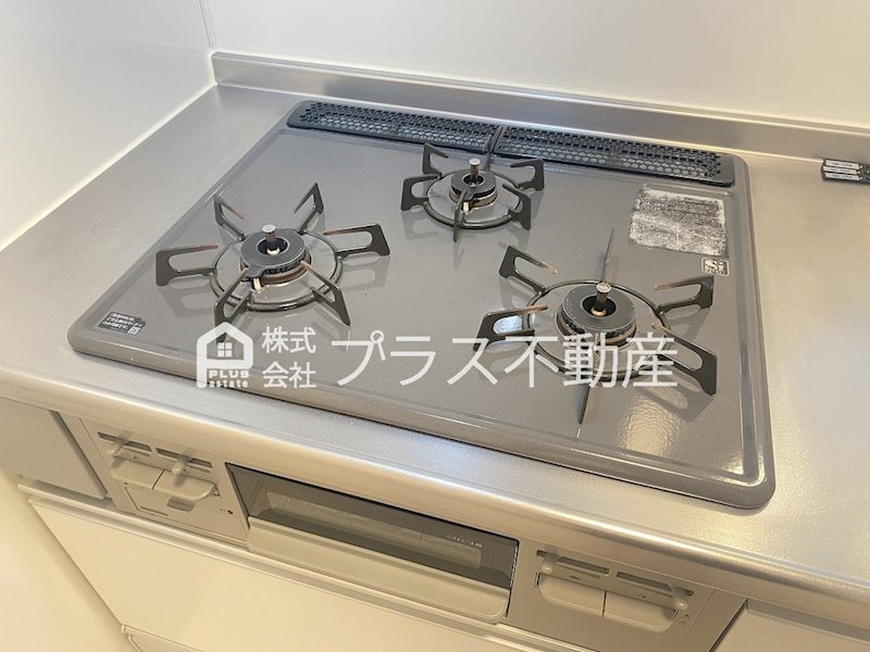 プランタン星ヶ丘Ⅴ その他