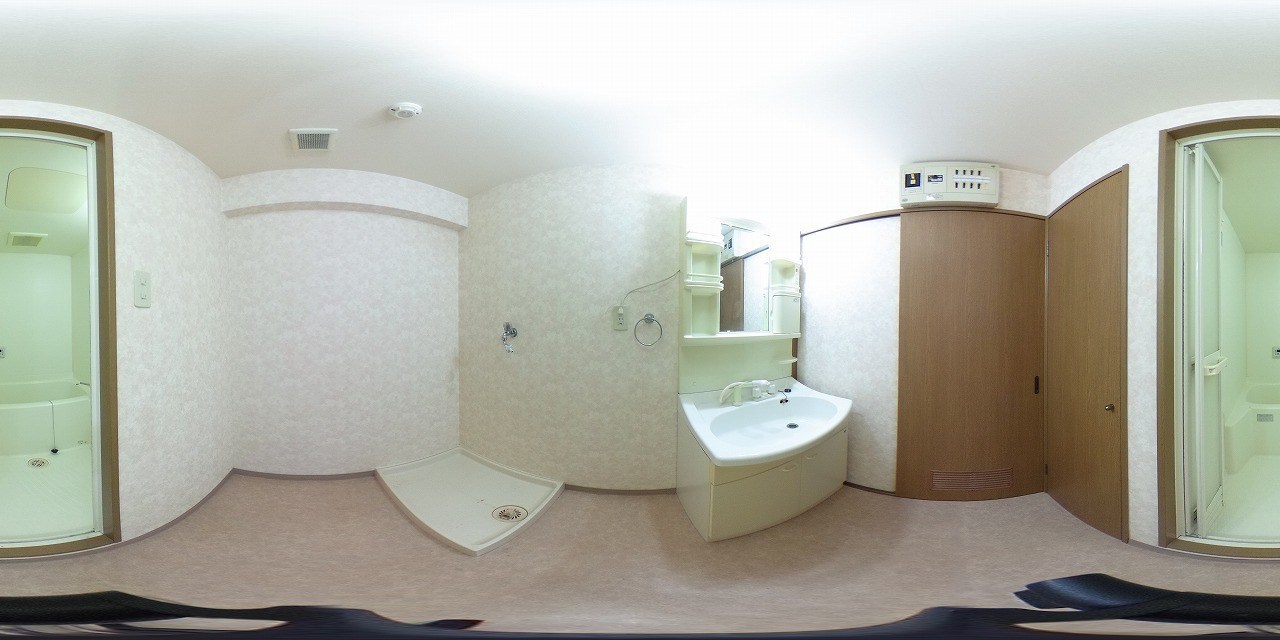 ミレニアム須崎 洗面所