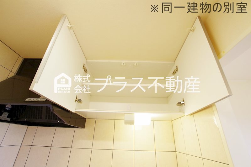 ラルーチェ　サンリッチ その他