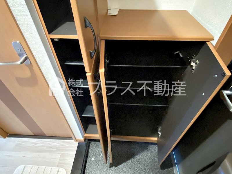 プランドール・ゼット その他