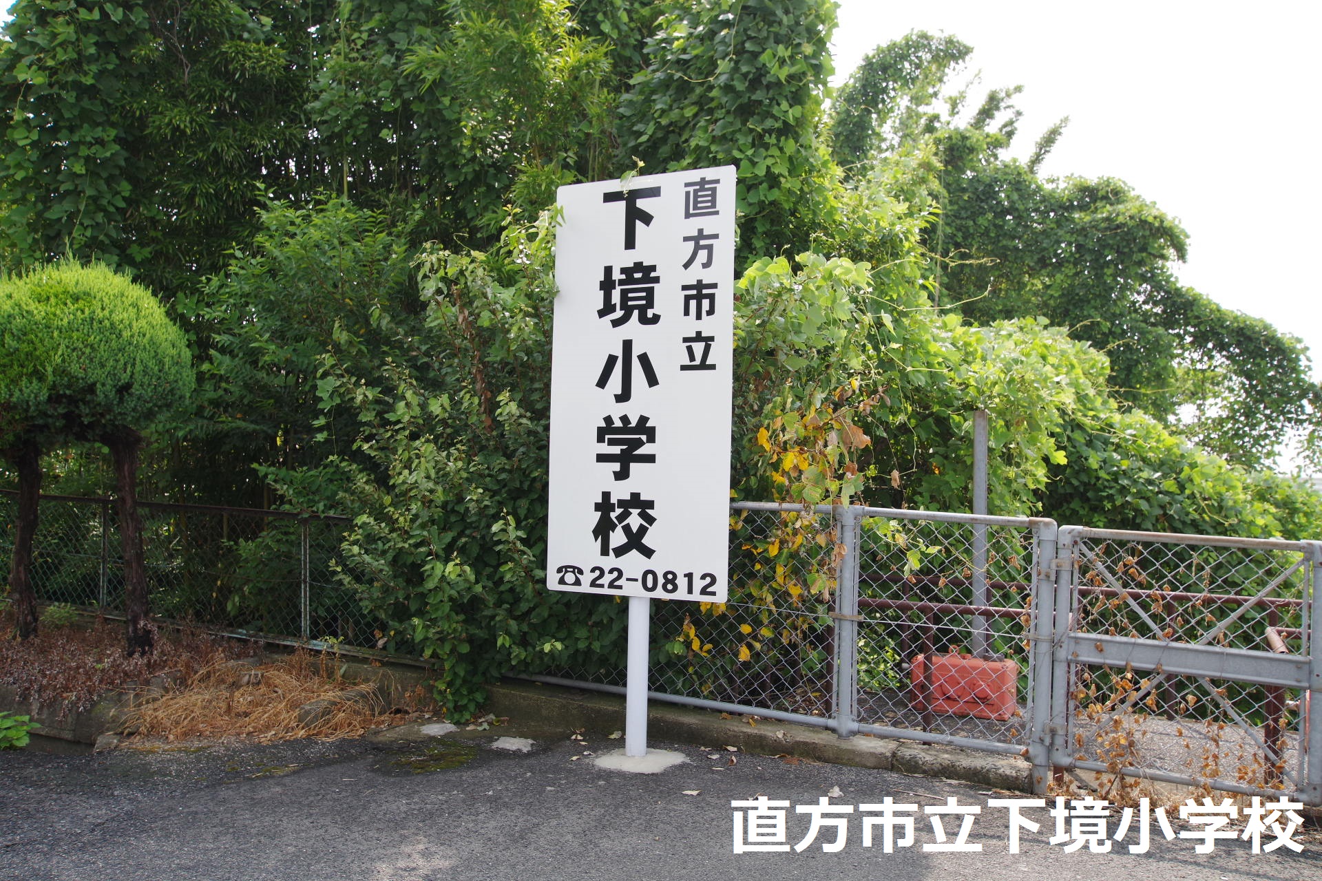 溝堀ハイツ 小学校