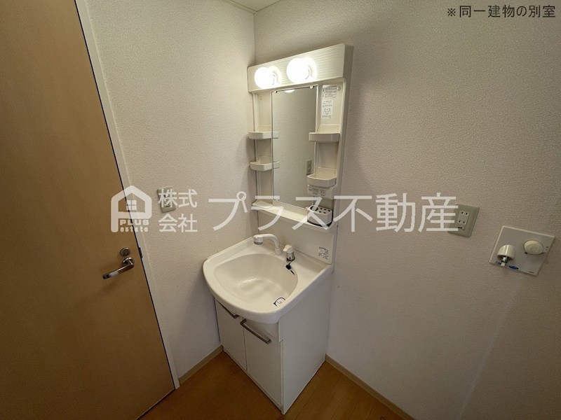 グランドゥール大地F 洗面所