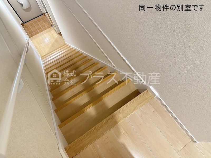 アリエスカーサ その他