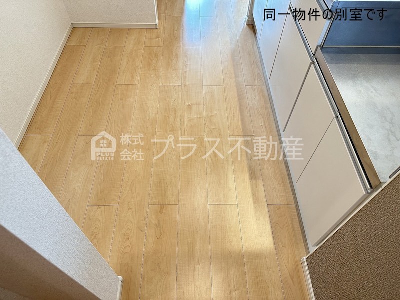 アリエスカーサ その他