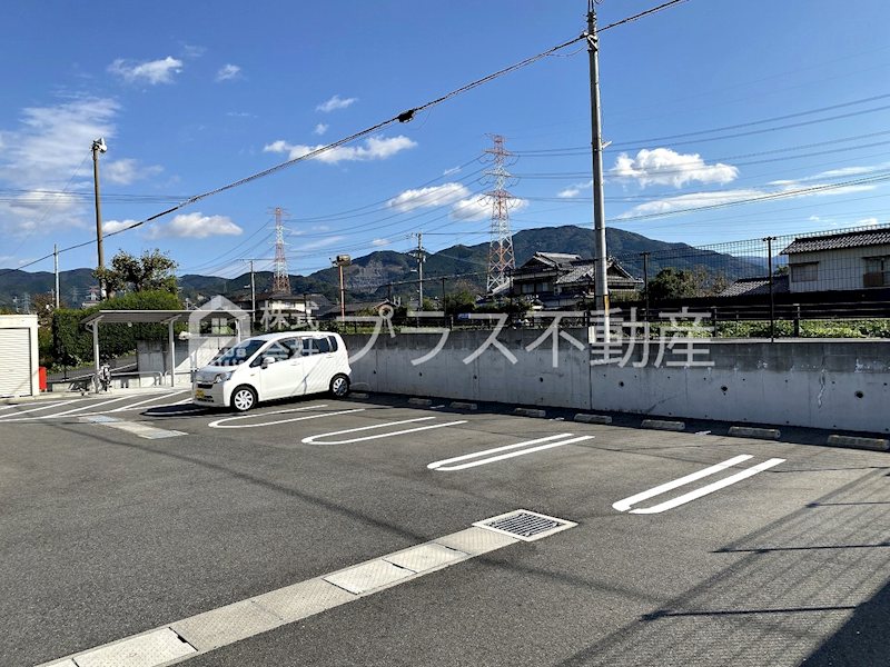 アデニウム錦水 駐車場
