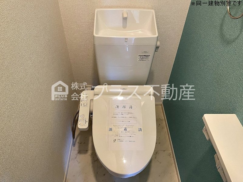 アデニウム錦水 トイレ