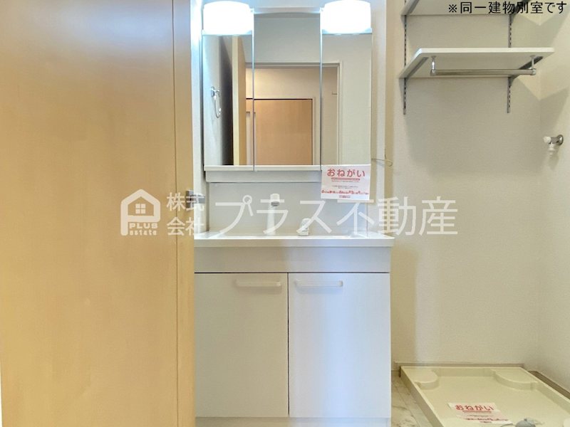 アデニウム錦水 洗面所