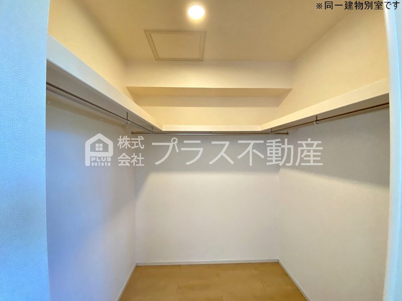 アデニウム錦水 収納