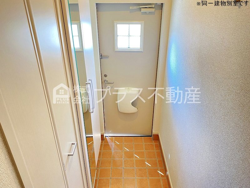 アデニウム錦水 玄関