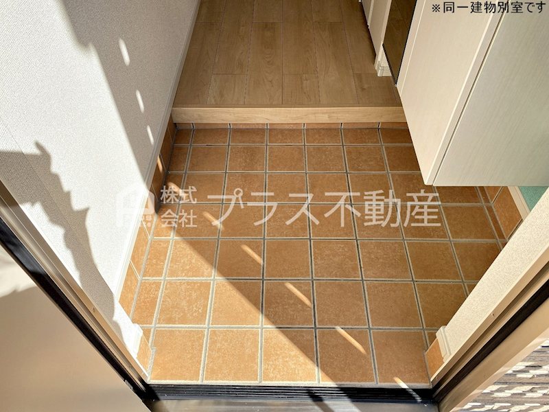 アデニウム錦水 その他