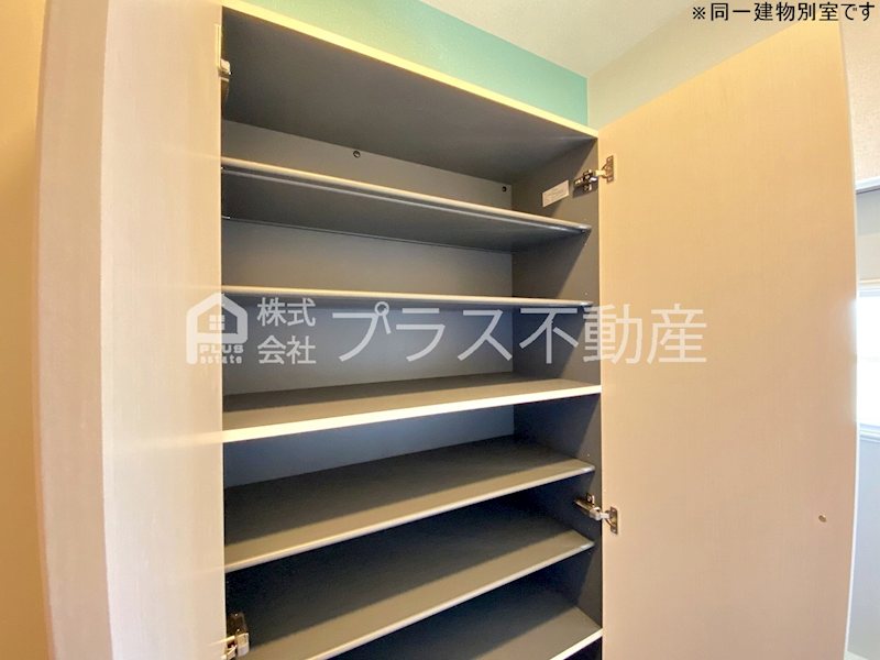 アデニウム錦水 その他